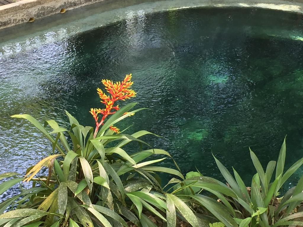 La Kuka Hotel - Nuquí Dış mekan fotoğraf