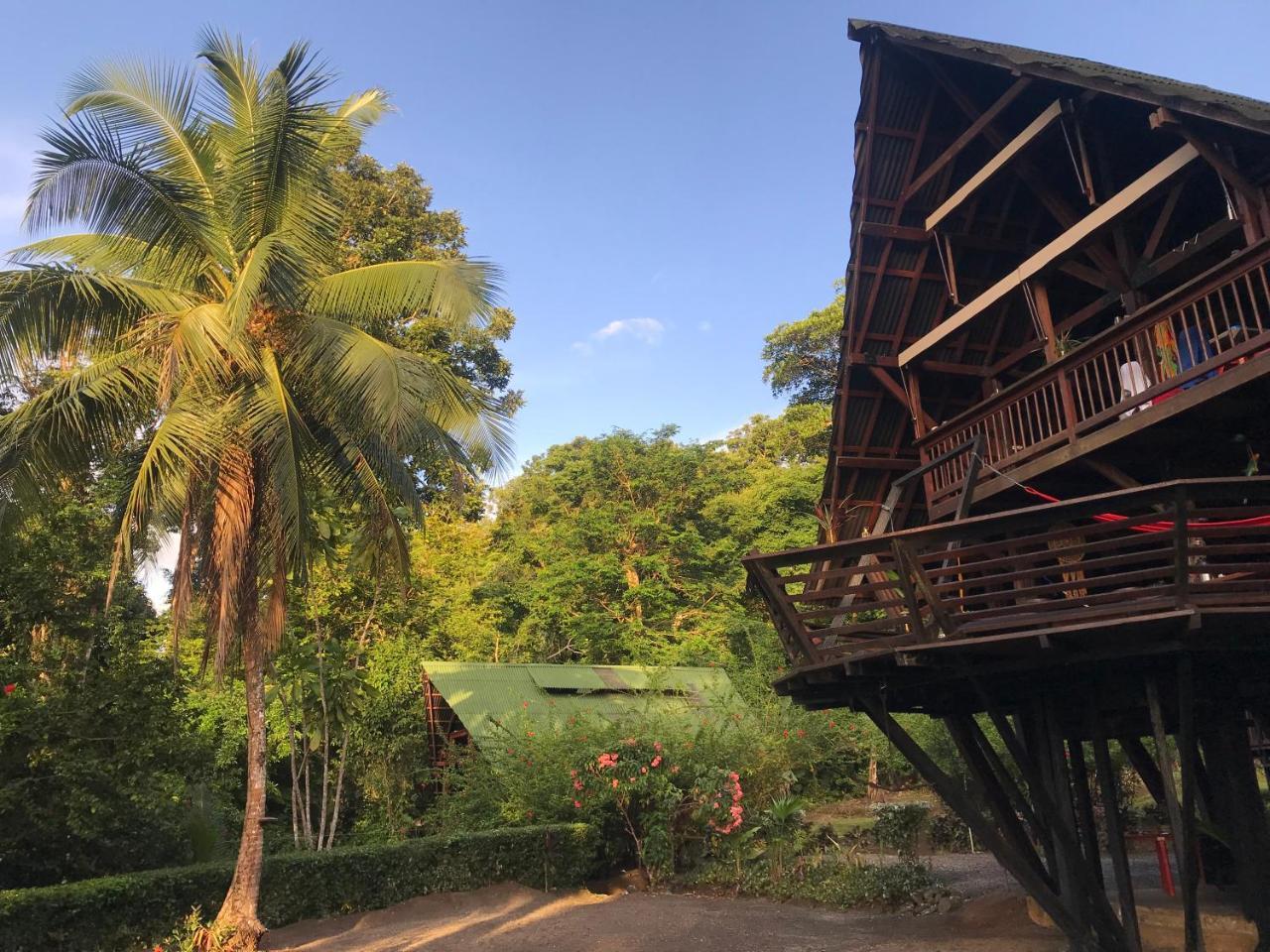 La Kuka Hotel - Nuquí Dış mekan fotoğraf